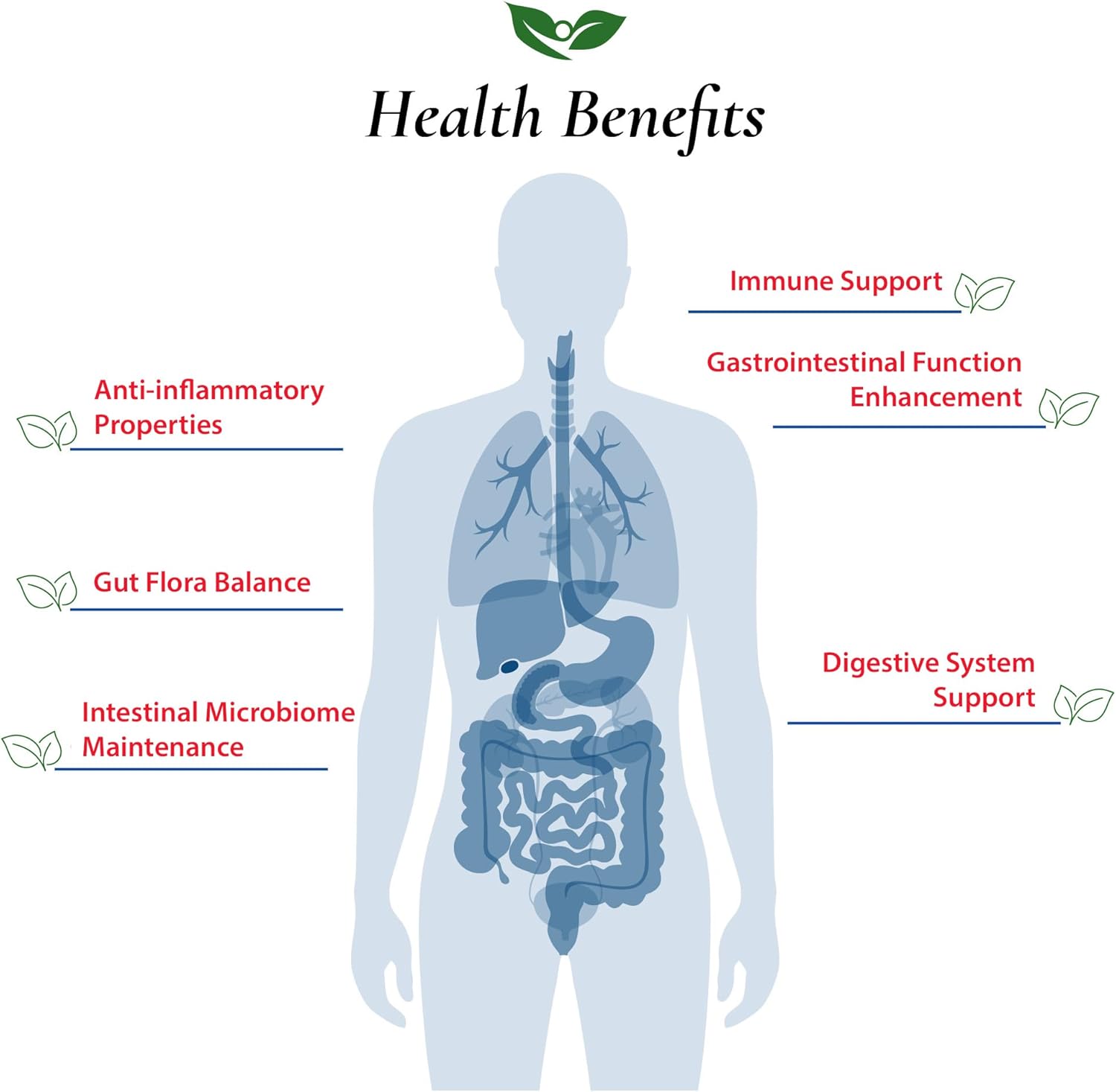 Streptococcus Thermophilus Probiotic Powder 400 Billion cfu's | Made in USA | No Additives | Direct from Manufacturer | No Third-Party Storage | Immune Support | S. Thermophilus | 100 Grams (3.52 OZ)