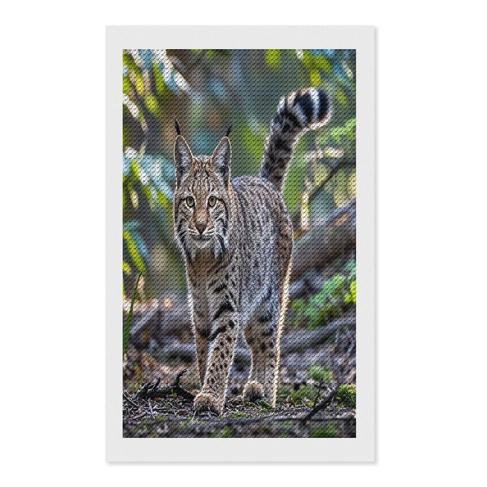 FekiLoot Wild Bobcat Diamond Painting Kits for Adults Full Round Drill Diamond Art Kits for Beginners 5D DIY Diamond Dots Paintings Diamonds Pictures Gem Art Home Wall Decor 12"x20"