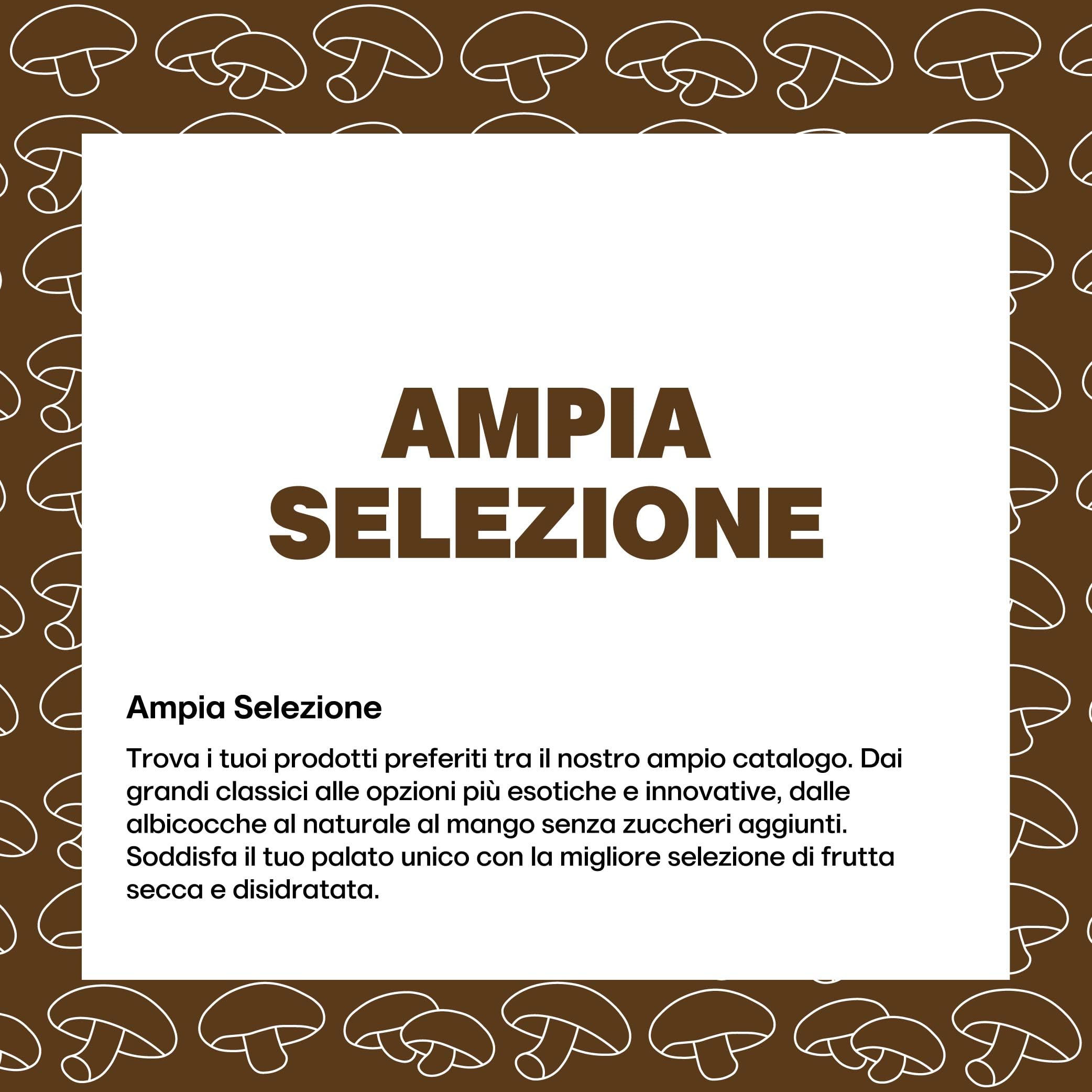 FUNGHI SHIITAKE CHIPS | Snack Gourmet ai Funghi Shiitake, Chips di Funghi, Snack Vegetale senza Coloranti, Confezione Salva Freschezza (500g)