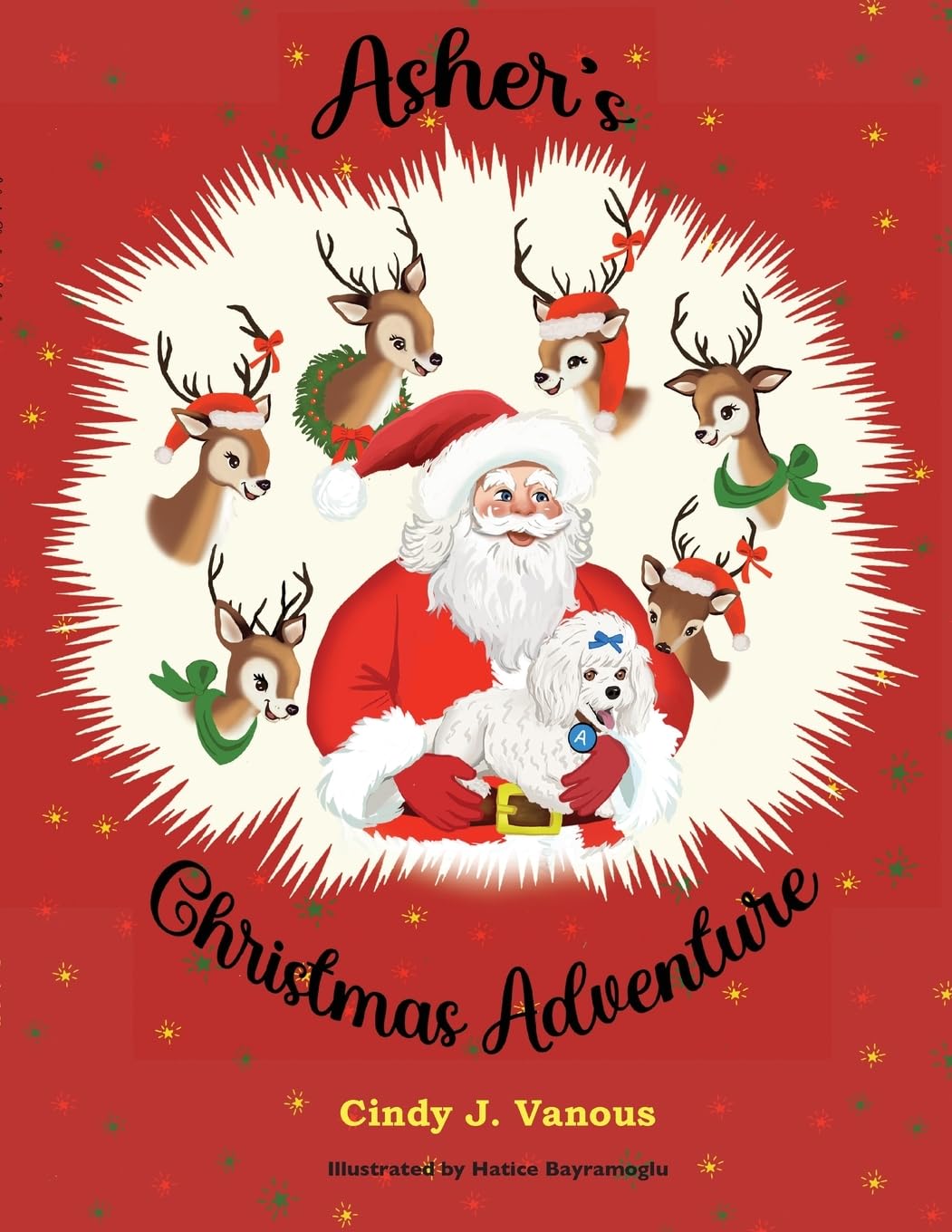 Asher's Christmas Adventure      Paperback – November 1, 2024