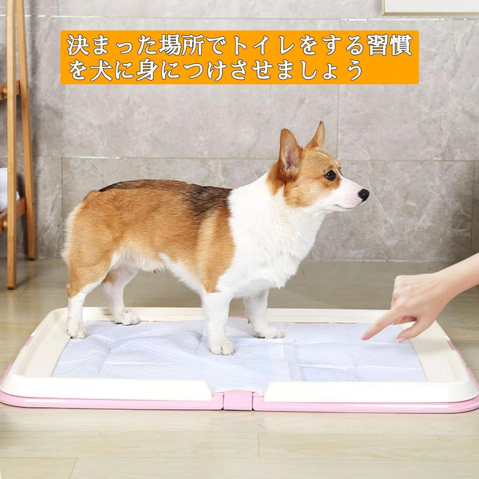 Amazon | kxptso 犬のトイレ オス用 足上げ 大型 ワイド L型トレー 犬