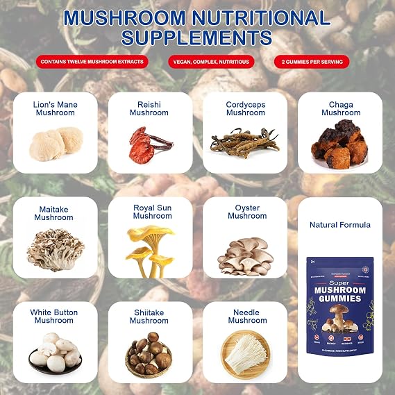 Super Mushroom Gummies with Lion's Mane Supplement, Focus, Energy, Raspberry Flavour (60 Gummies)