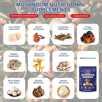 Super Mushroom Gummies with Lion's Mane Supplement, Focus, Energy, Raspberry Flavour (60 Gummies)