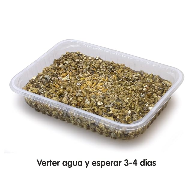 Foto 3 de 7 de Arquivet Hierba para Gatos en Bandeja
