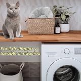 Ver la foto 5