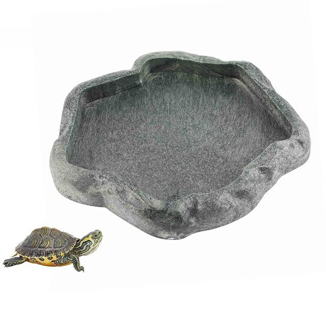 Yosoo Health Gear Cuenco de alimentación de Reptiles, Cuenco de Agua de Tortuga, Cuenco de Comida