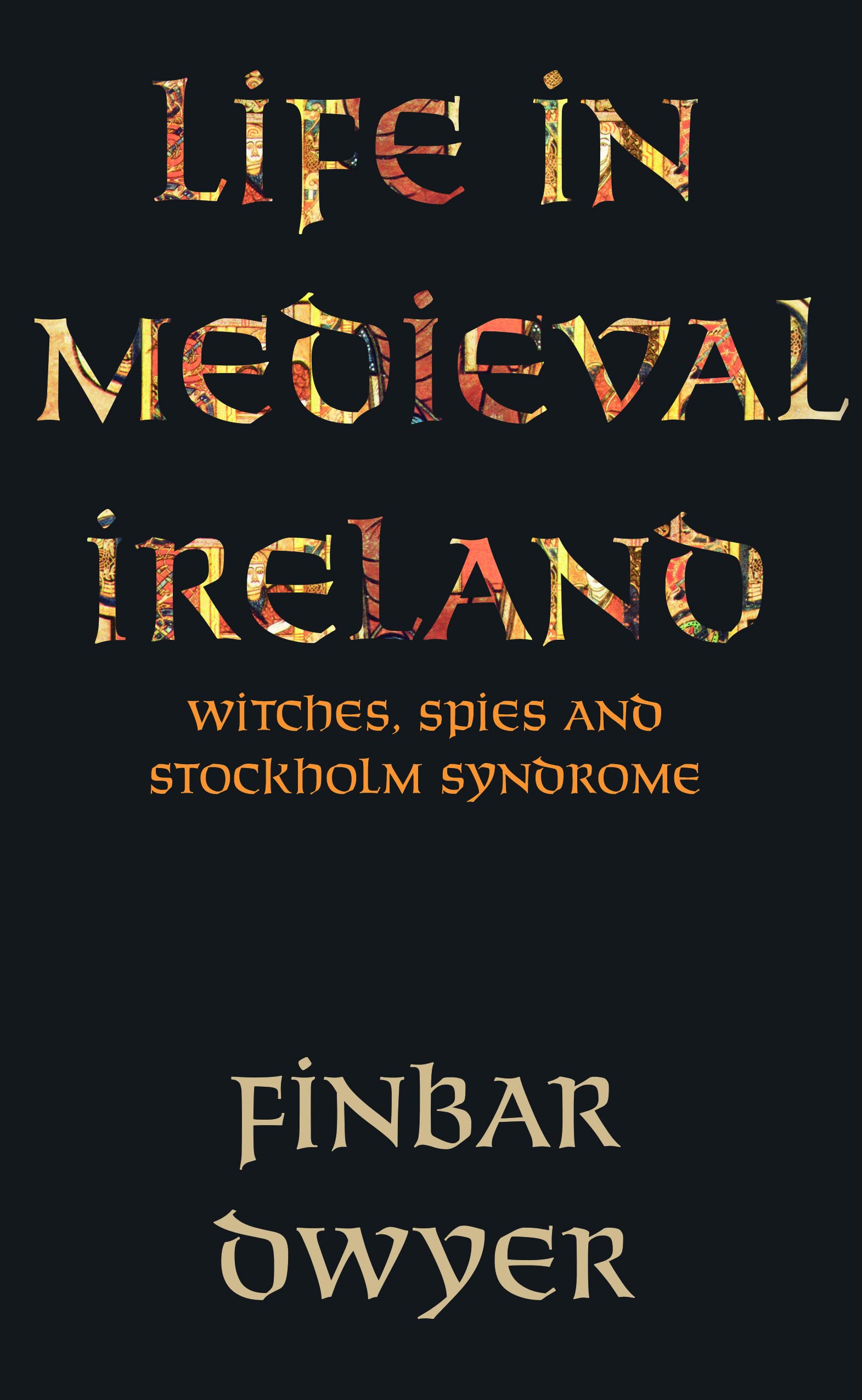 Life in Medieval Ireland by Finbar Dwyer PAPERBACK 9781848407404