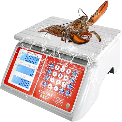 CAMRY Báscula comercial impermeable IPX7 de 66 libras / 66.1 lbs de precio digital para computación de productos de carne con retroiluminación