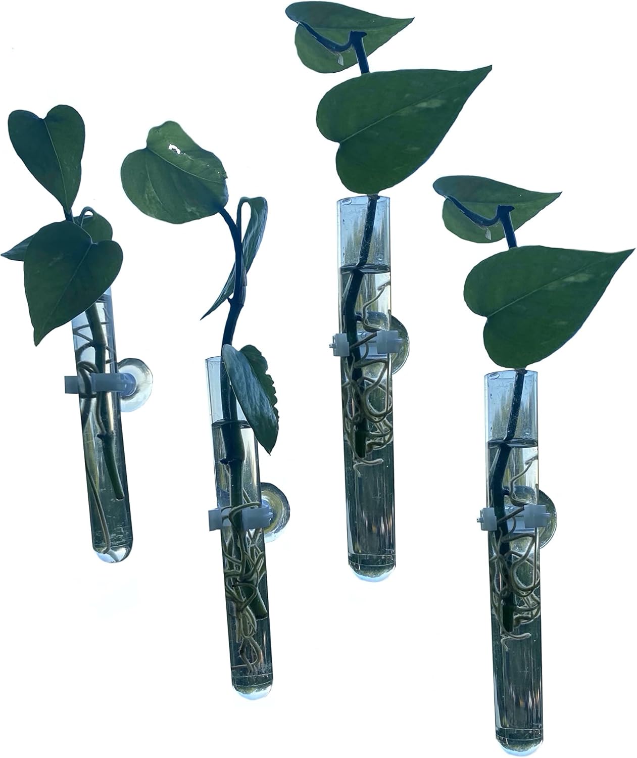 Window Propagation Vases, Glass Test Tubes Vases with Suction Cups for Propagation, hydroponic projects, Home Decor, Car Decor, Bathroom Decor Pack of 4