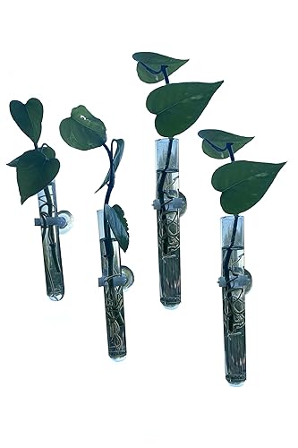 4 Window Vases, Glass Test Tubes Vases with Suction Cups for Propagation, hydroponic projects, Home Decor, Car Decor, Bathroom Decor Pack of 4