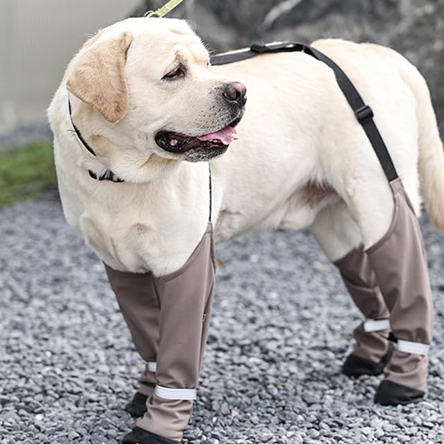 Foto 3 de 8 de Beimus Zapatos para perros de todas las razas, protectores para perros, botines con tirantes antideslizantes