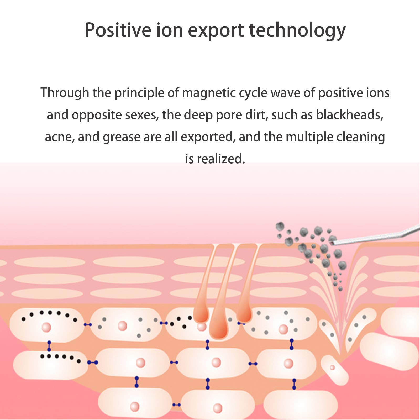 Elitzia ETOF133 Hautpflege-Geräteset, galvanischer Ionenschrubber, Gesichtspeeling, EMS, Akne- und Mitesserentferner, plus LED-Licht, Photonen-Gesichtsstraffung, Anti-Falten, Heimgebrauch,