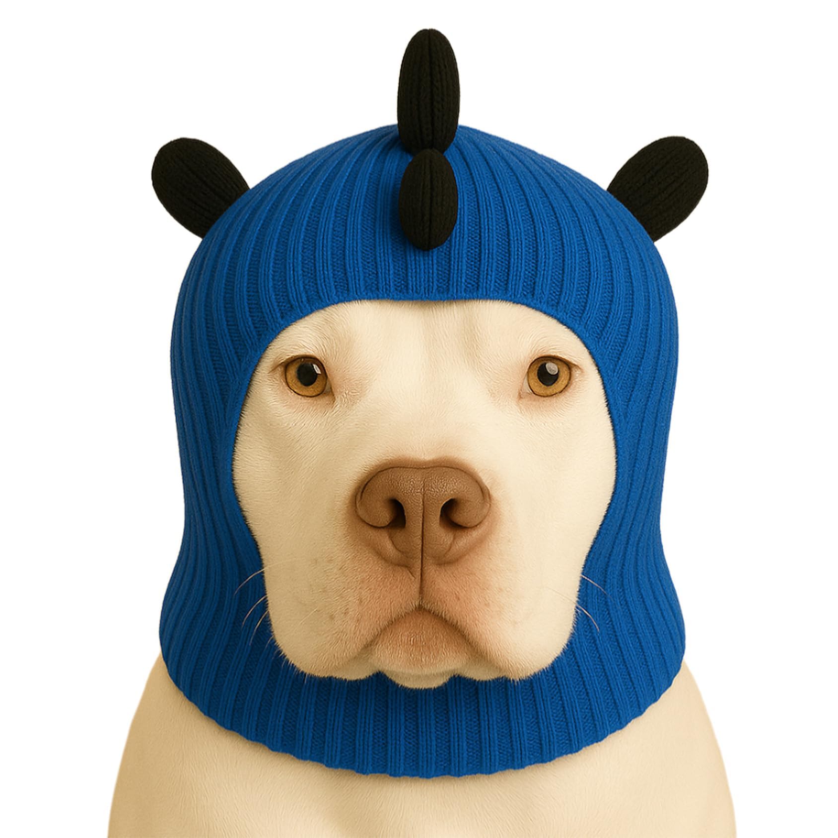 Chapeau de dinosaure pour chiens LovinPet bleu extensible taille unique