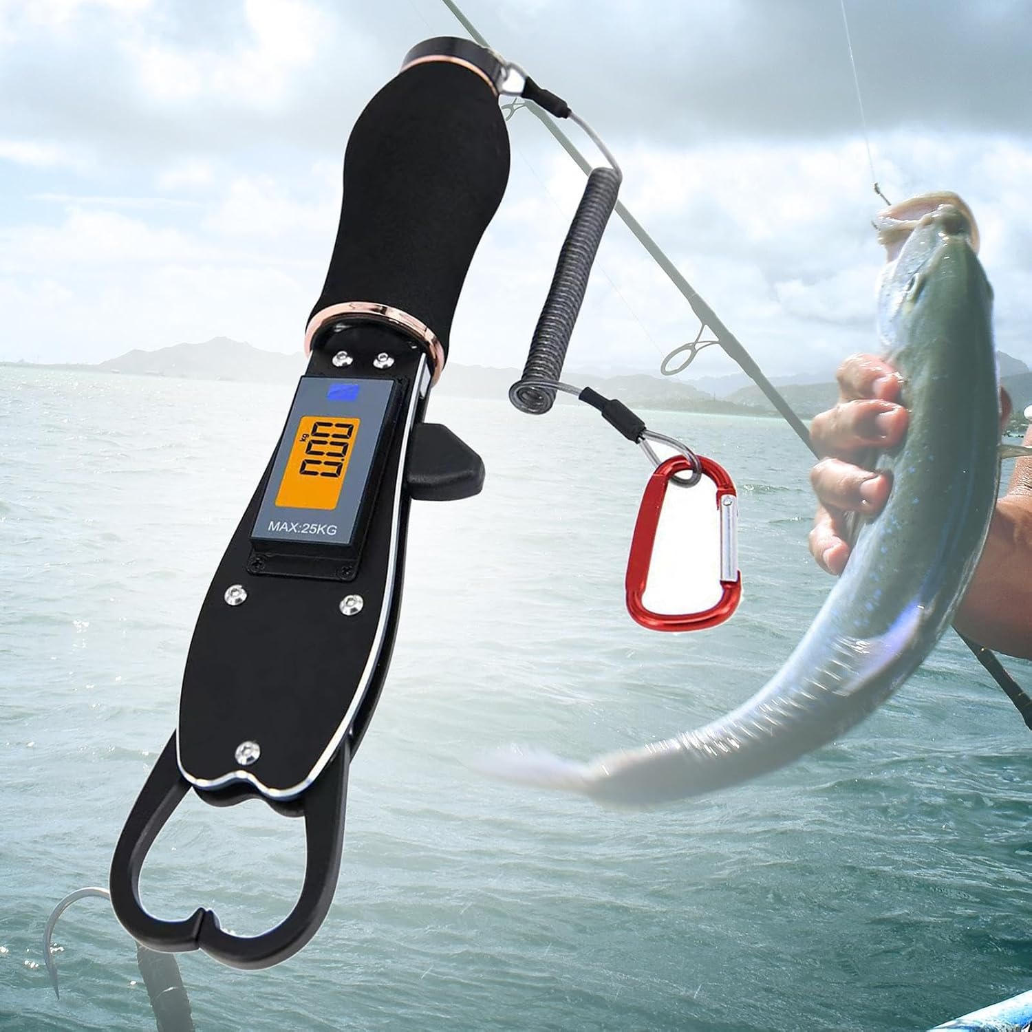 Lip Gripper with Scale Saltwater Professional Fishing (Black)