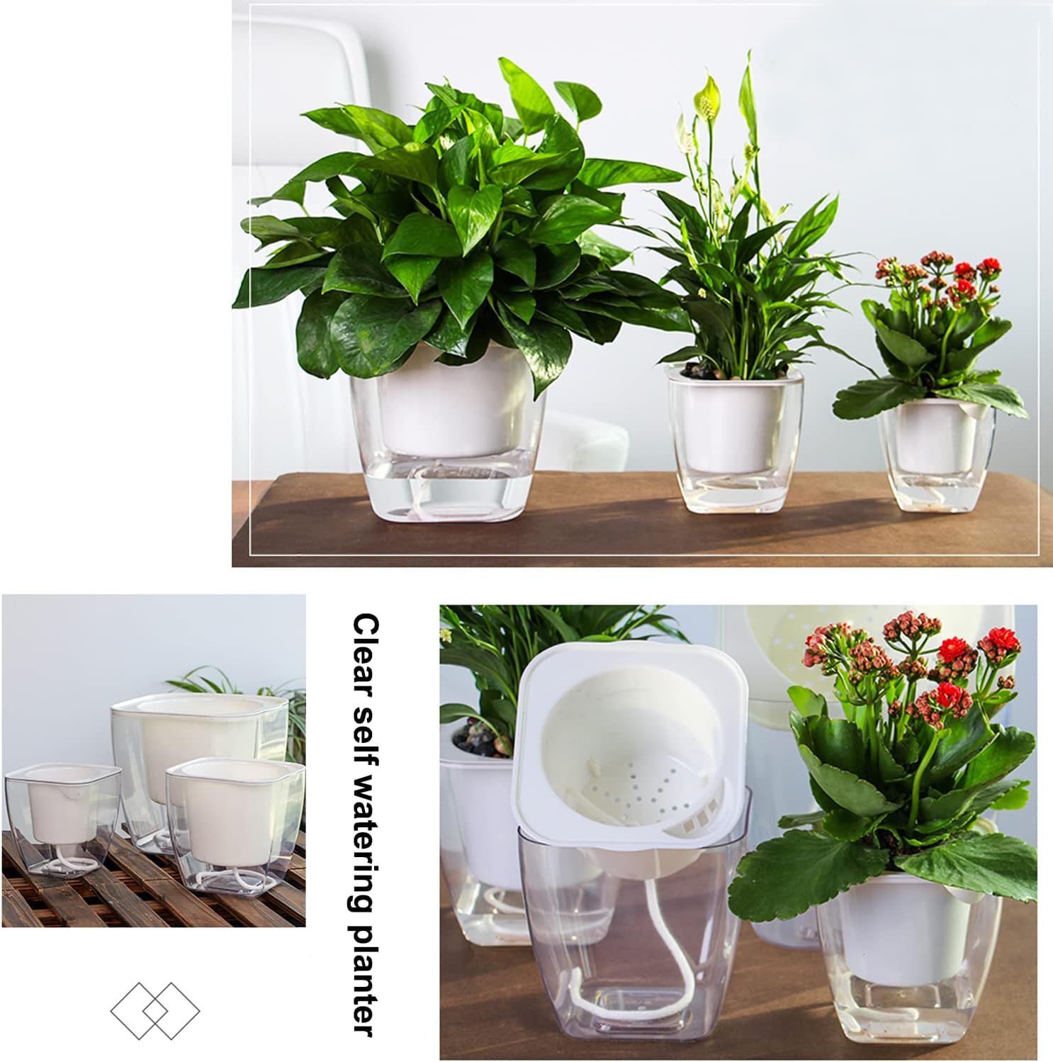 Sungmor Clear Self Watering Planter for Indoor Plants, 3 Pack 6.9 Inch Plastic Violet Flower Pots, Square Watering Plant Pot for House Plants,Orchid,Succulents, Herbs