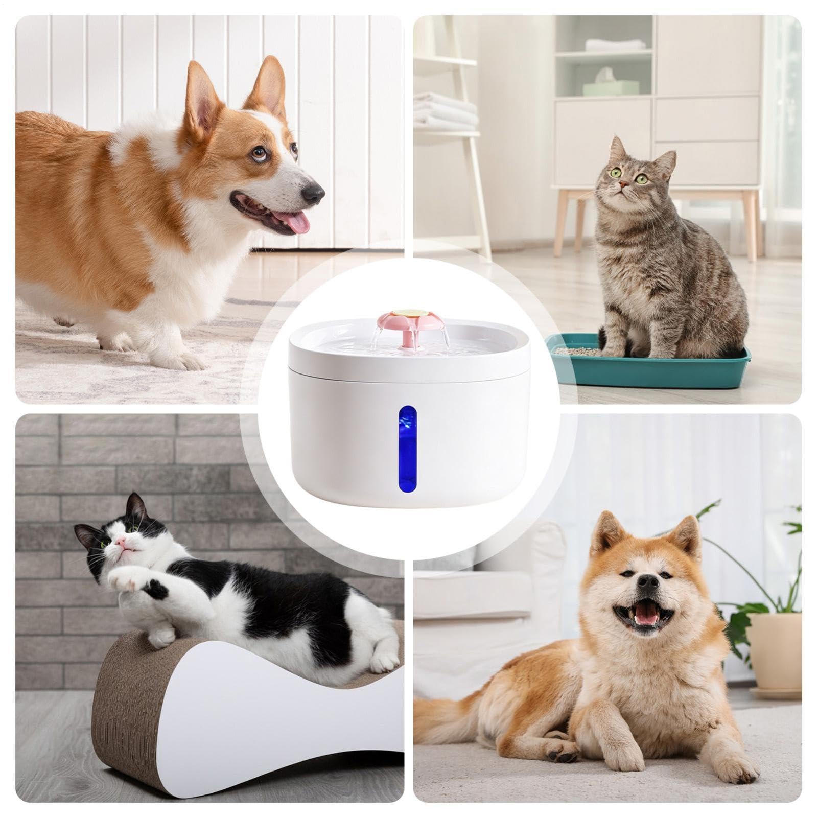 Fontana D'Acqua Per Cani Abbeveratoio Automatico Silenzioso Con 2,6 L