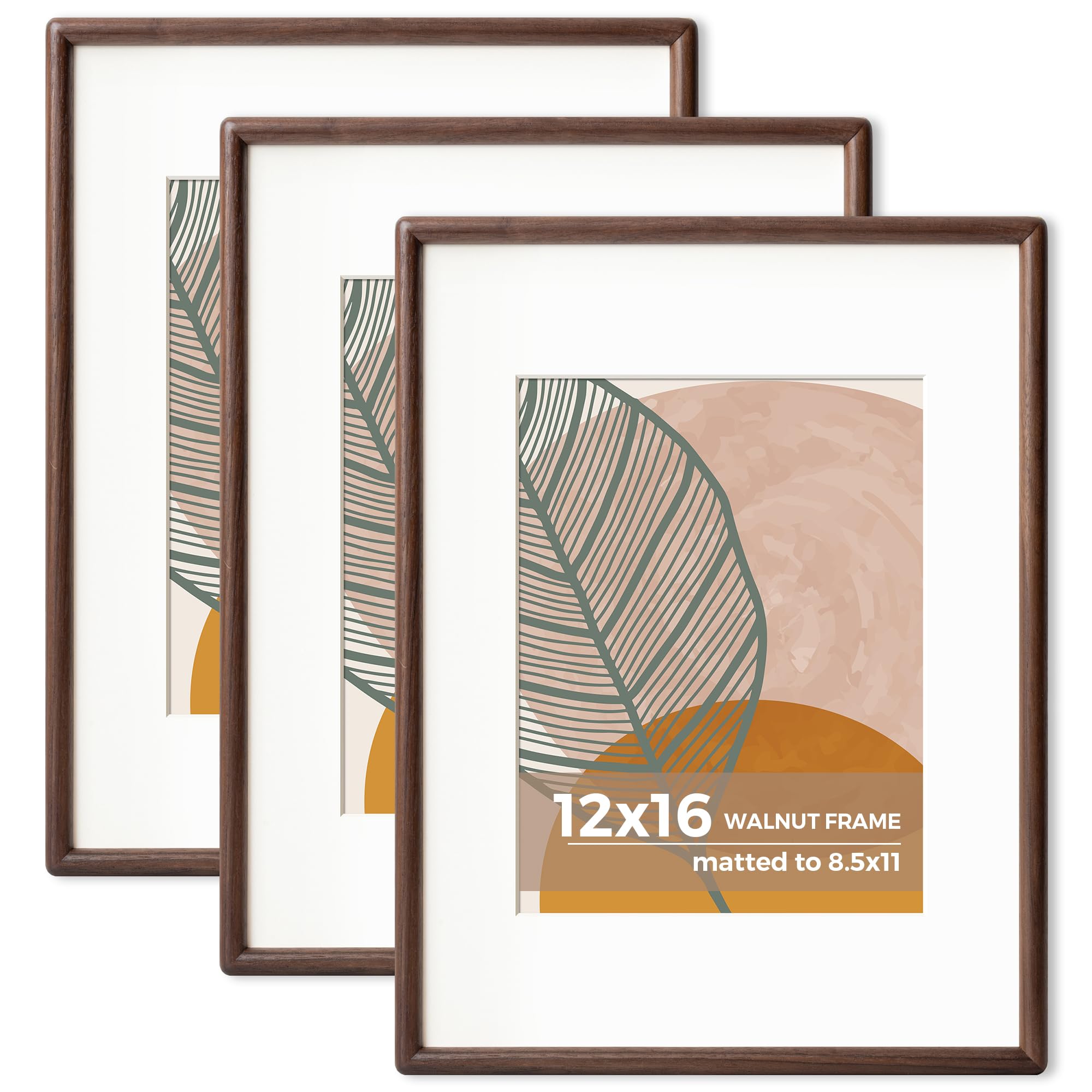 Axeman 12 x 16 Walnut Frame Set of 3 - Rounded Corner 12x16 Picture Frame Matted to 8.5x11 - Natural Walnut Wood Photo Frame with Tempered Glass for Wall Mount Display