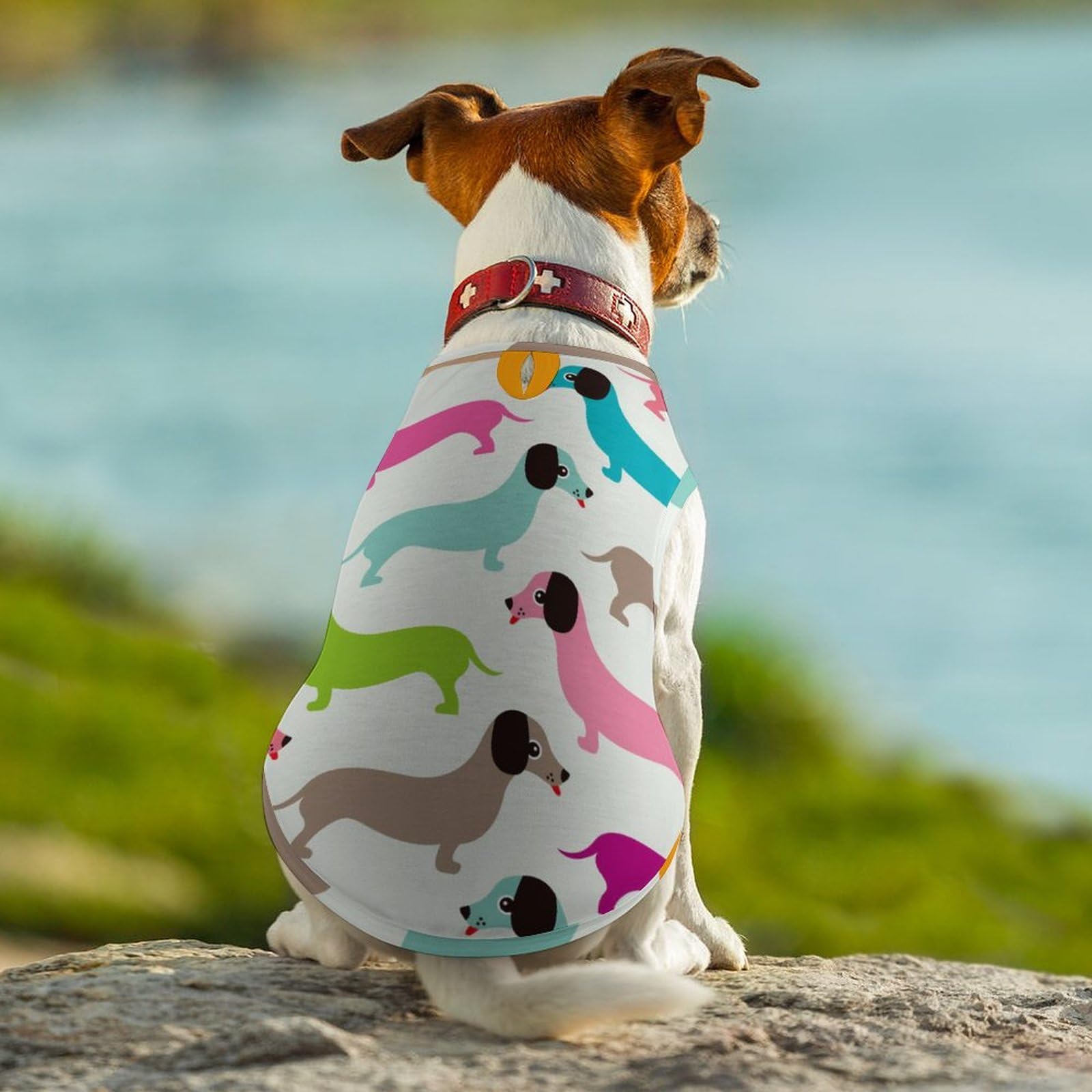 Amazon.co.jp: ダックスフンド 犬柄 カラフル ペット服 犬服 春