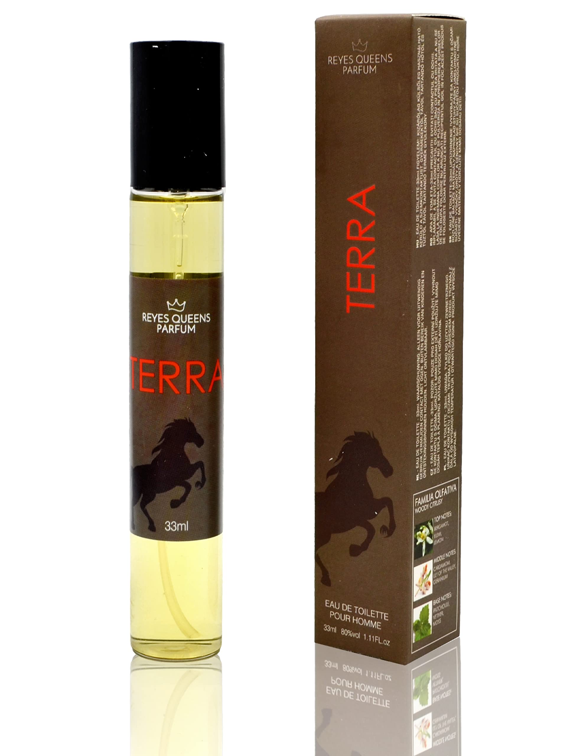 GECO Green ECOmmerce Terra Eau de Toilette 33 ml - Perfume equivalente para hombre compatible con los perfumes de grandes marcas