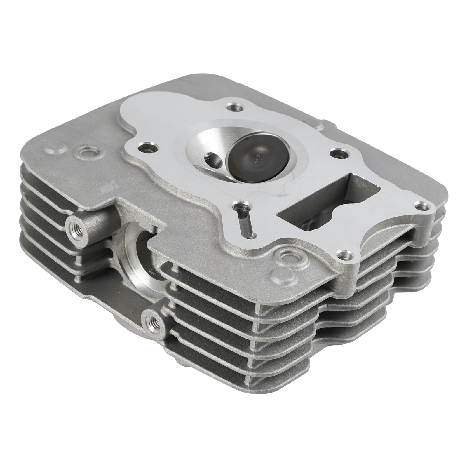 Amazon.com: Frezon Engine Cylinder Head with Valve and Springs Fit