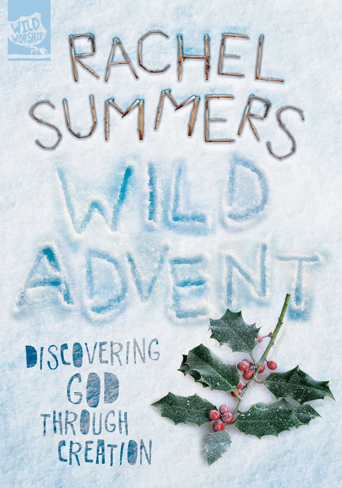 Wild Advent by Rachel Summers - 9781848679603