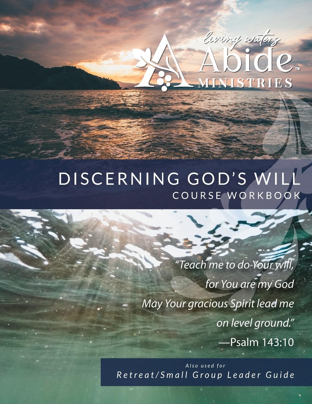 Discerning God's Will - Workbook (& Leader Guide): Curriculum Workbook for On-Line Course