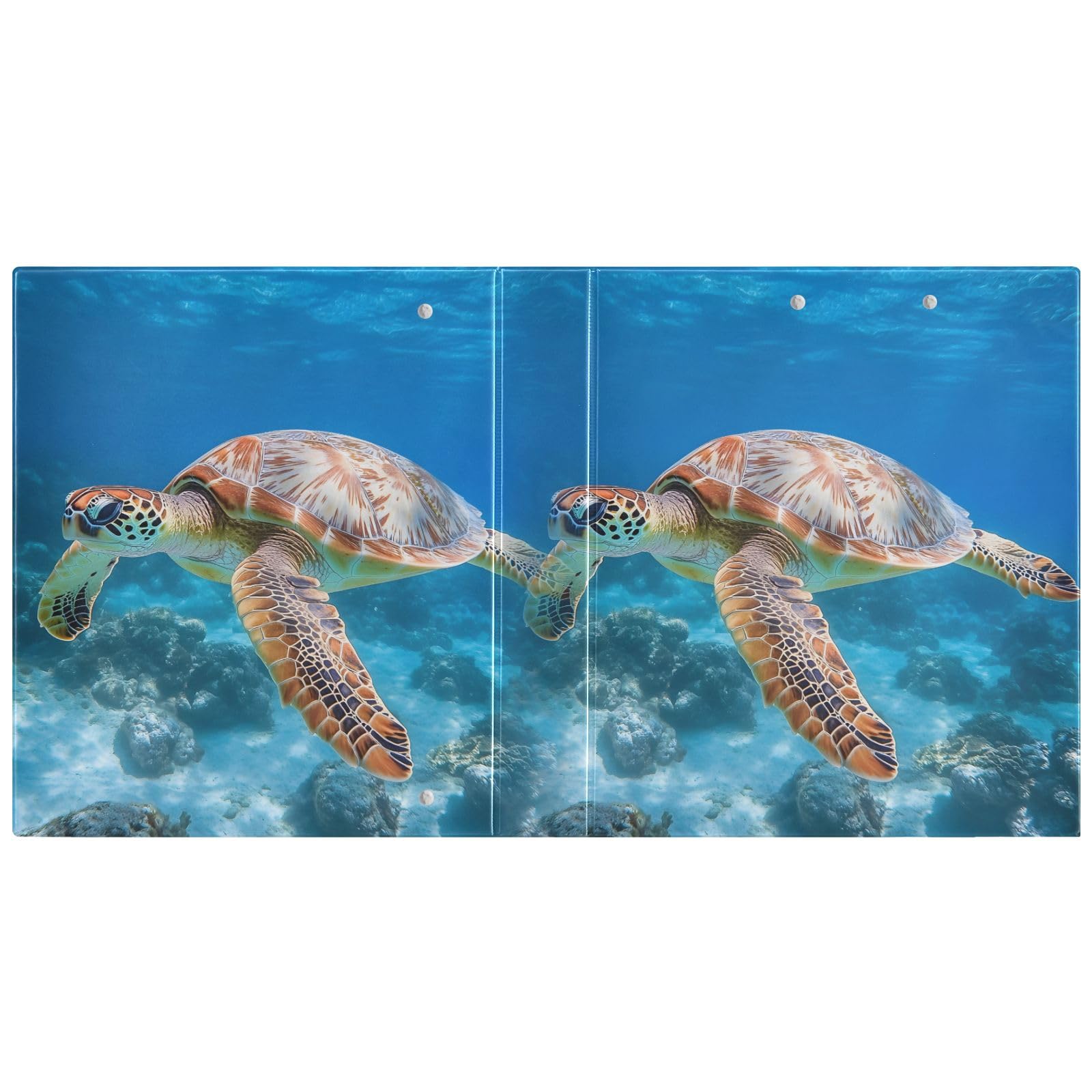 Raccoglitore a 3 anelli con tartaruga marina, 3,8 cm, contiene 200 fogli, 3 raccoglitori ad anelli con clip in metallo antiscivolo