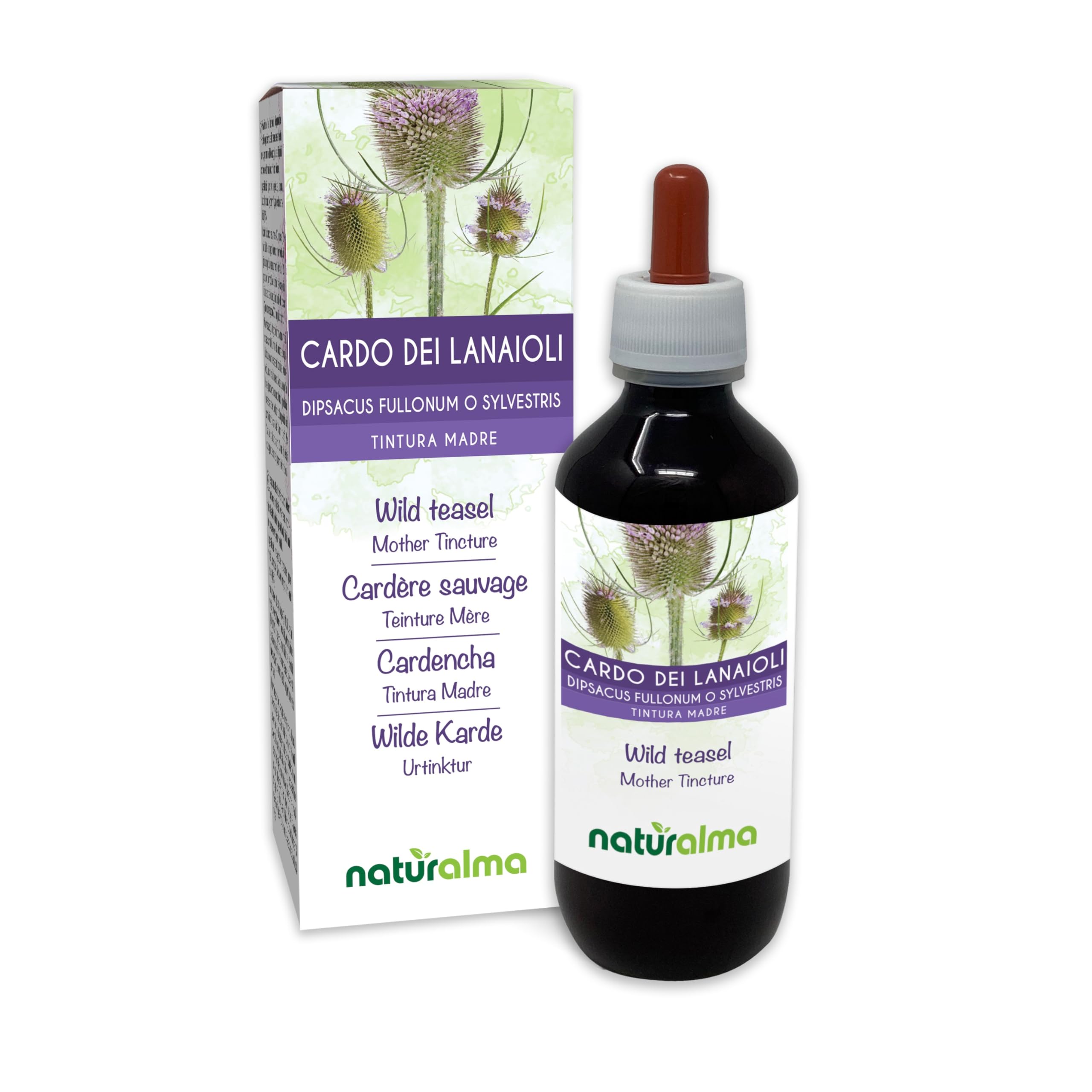 Cardo dei lanaioli o Cardo selvatico (Dipsacus fullonum o sylvestris) radici Tintura Madre analcoolica Naturalma - Estratto liquido gocce 200 ml - Integratore alimentare - Vegano