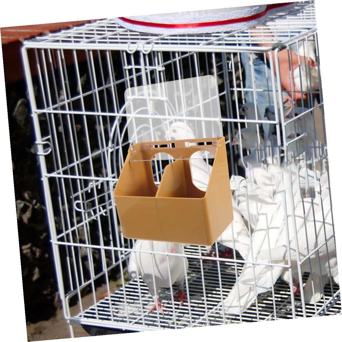 Plastique, Mangeoire à Oiseaux à Deux Trous, Café Lot de 3