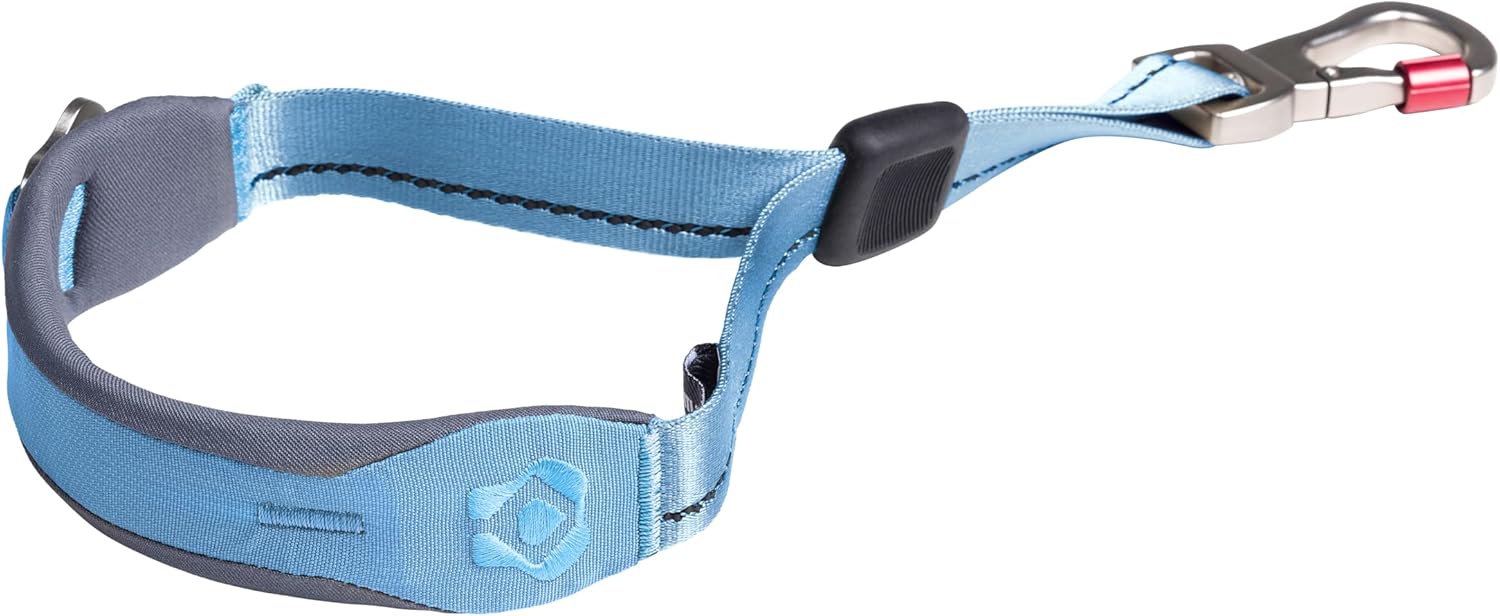 Ready-Go Quick-Grip Short Leash – Durable Recycled Nylon Dog Leash with Padded Handle for Close Control, Training & Everyday Walks – Compact 18" Length (Coast)