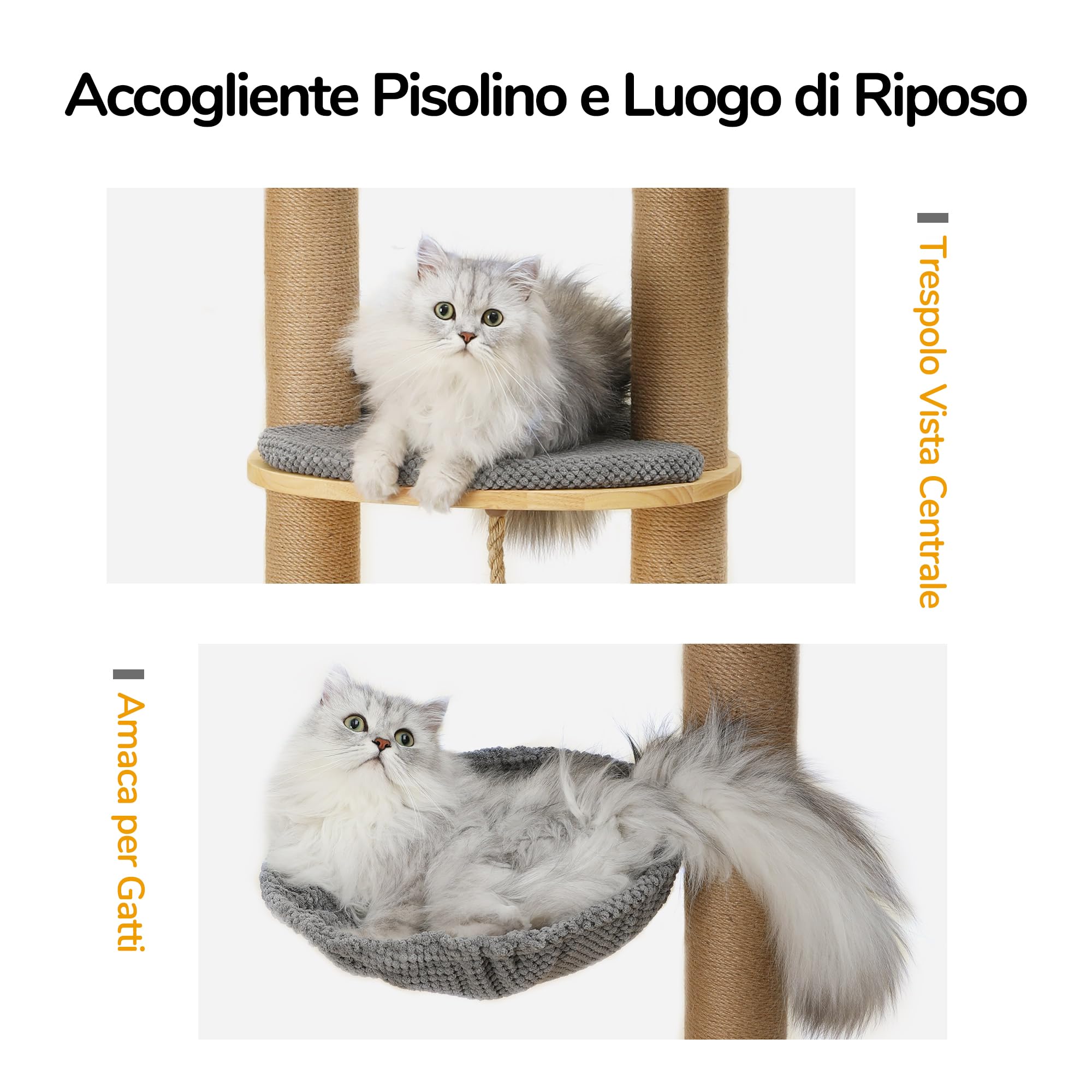 FUKUMARU Albero Tiragraffi per Gatti Adulti XXL da Parete, Tiragraffi in Legno, Alto 188 cm, Torre per Gatti in Legno Massello, con Spazzola, Posatoio, Amaca, Cuccia e Tappetino in Iuta.