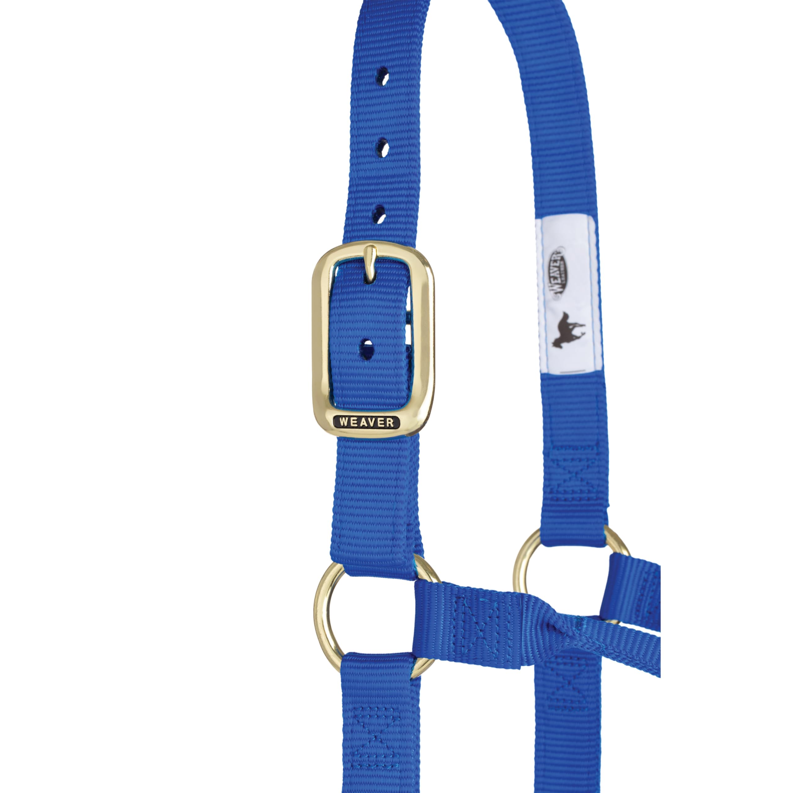 Weaver Leather Original - Cavezza non regolabile, per cavallo tra 1 e 2 anni, M, blu