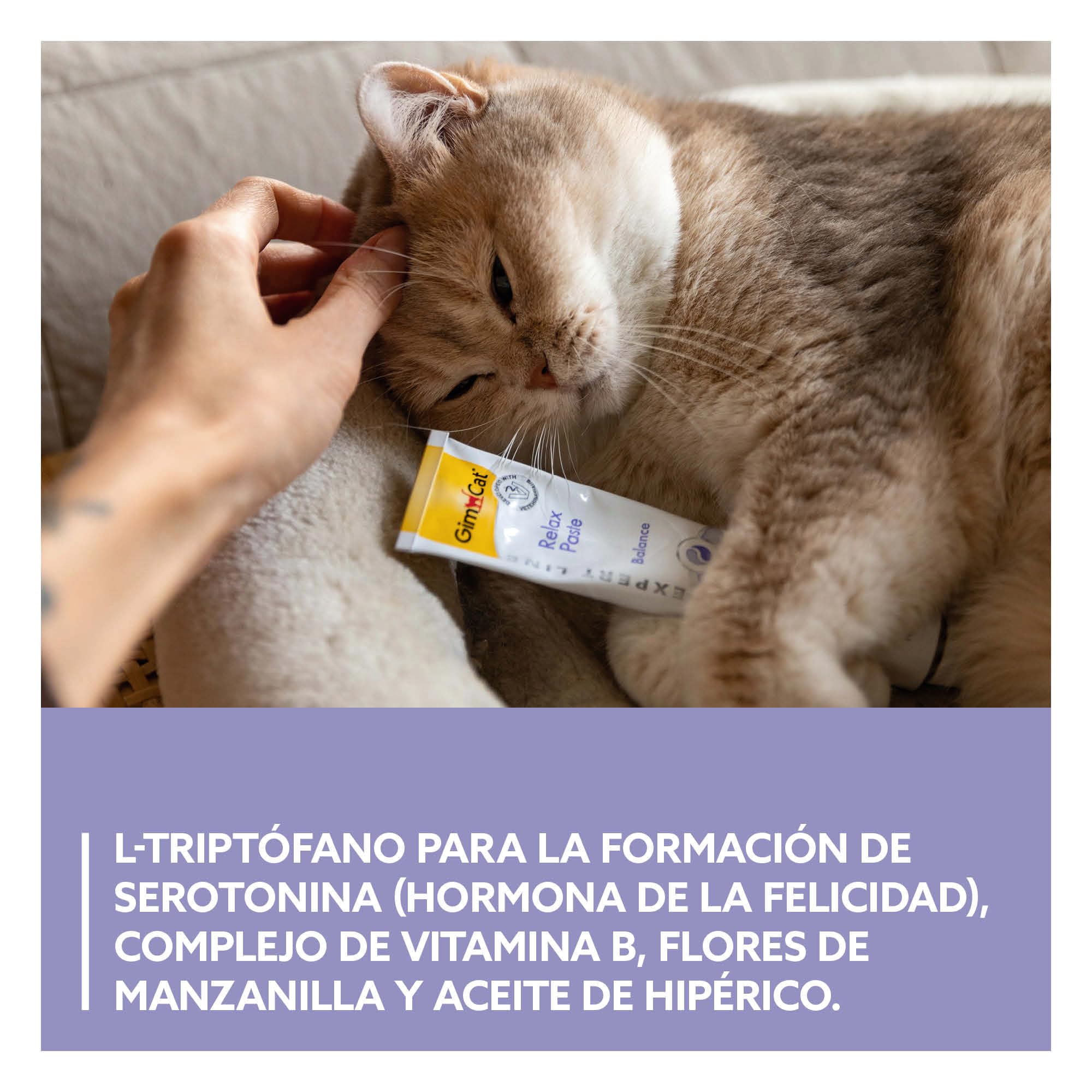 GimCat EXPERT LINE Relax pasta - Snack para gatos funcional que favorece la relajación y el bienestar del gato - 1 tubo (1 x 50 g)
