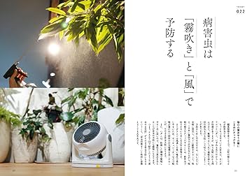 もう枯らさない！観葉植物の育て方 プロが教えるセオリー＆アイデア