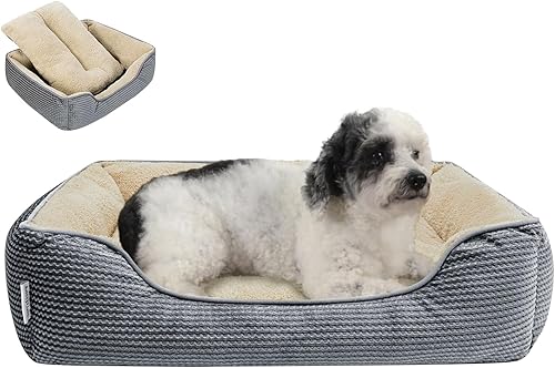 Miniatura 48 de Miguel Camas lavables para gatos de interior con cojín extraíble, fácil de lavar, sofá cama pequeña para mascotas con lado, cama rectangular para