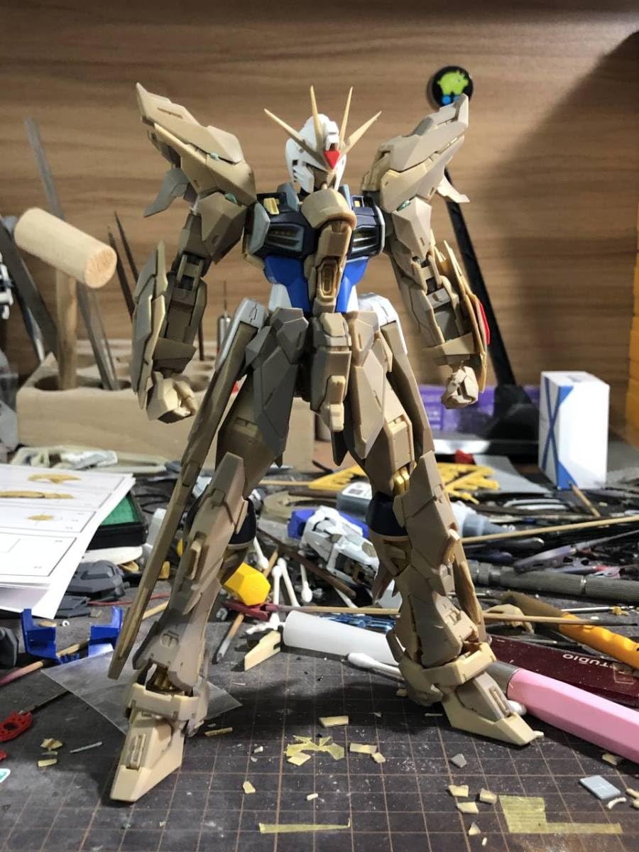 Amazon.co.jp: 1/100 MG ストライクフリーダム 改造パーツ ガレージ 