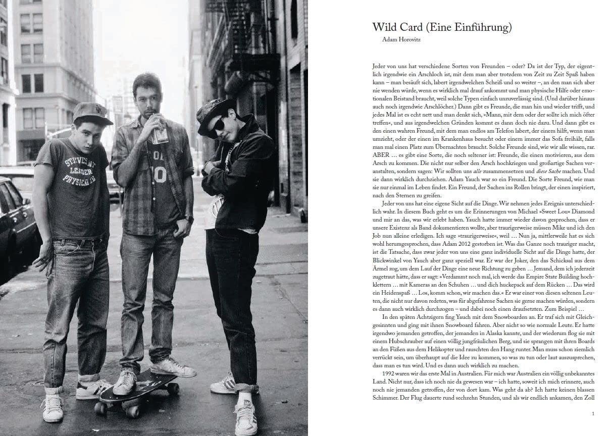 Beastie Boys Buch: Deutsche Ausgabe