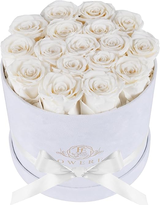 17 Flowers in a Luxury Suede Box, Birthday Gifts for Women, Preserved Flowers, Mothers Day Roses Gift for Mom, White