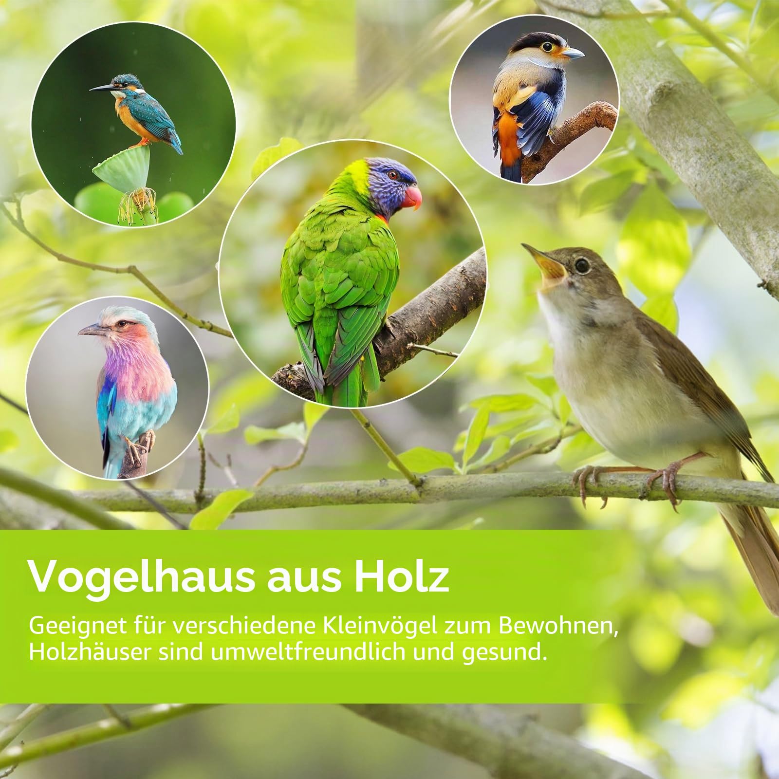 Wellensittich Nistkasten Transparentes Design, Vogelnest Brutkasten Holz, Sittich Nistkasten Transparentes Vogelhaus für Käfig Naturholz Aufzuchtkasten für Papageien Lovebirds Wellensittiche Finken