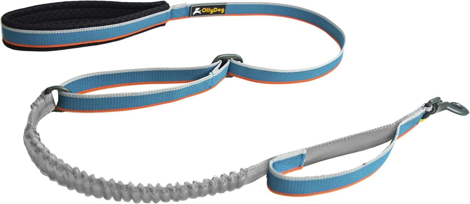 OllyDog Urban Journey Reflective Spring Leash with Padded Handle and Metal Hardware, Shock Absorption, Adjustable Bungee Dog Leash 4ft -…