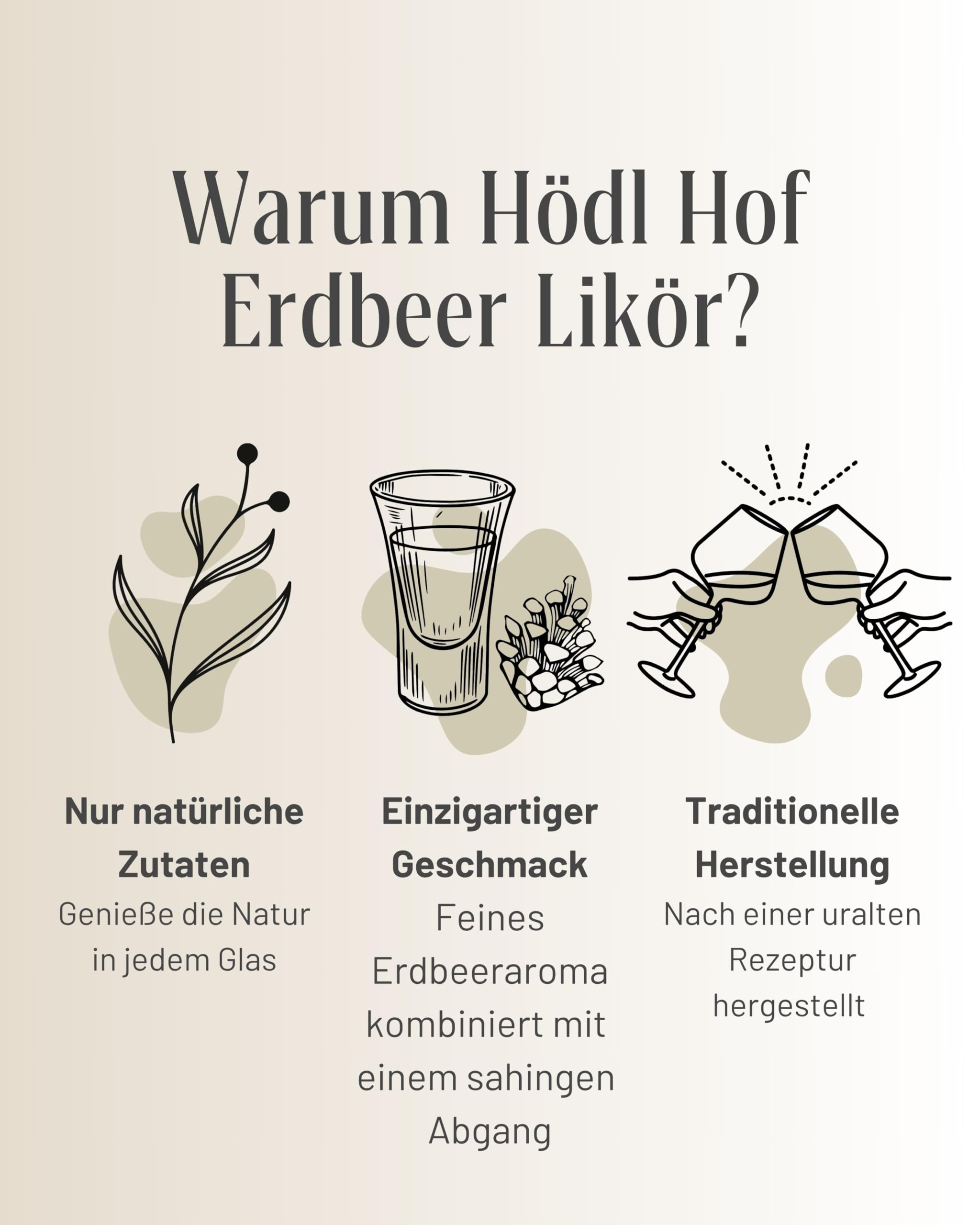 Hödl Hof Erdbeere Cremelikör | 16% Vol. | 1,0l