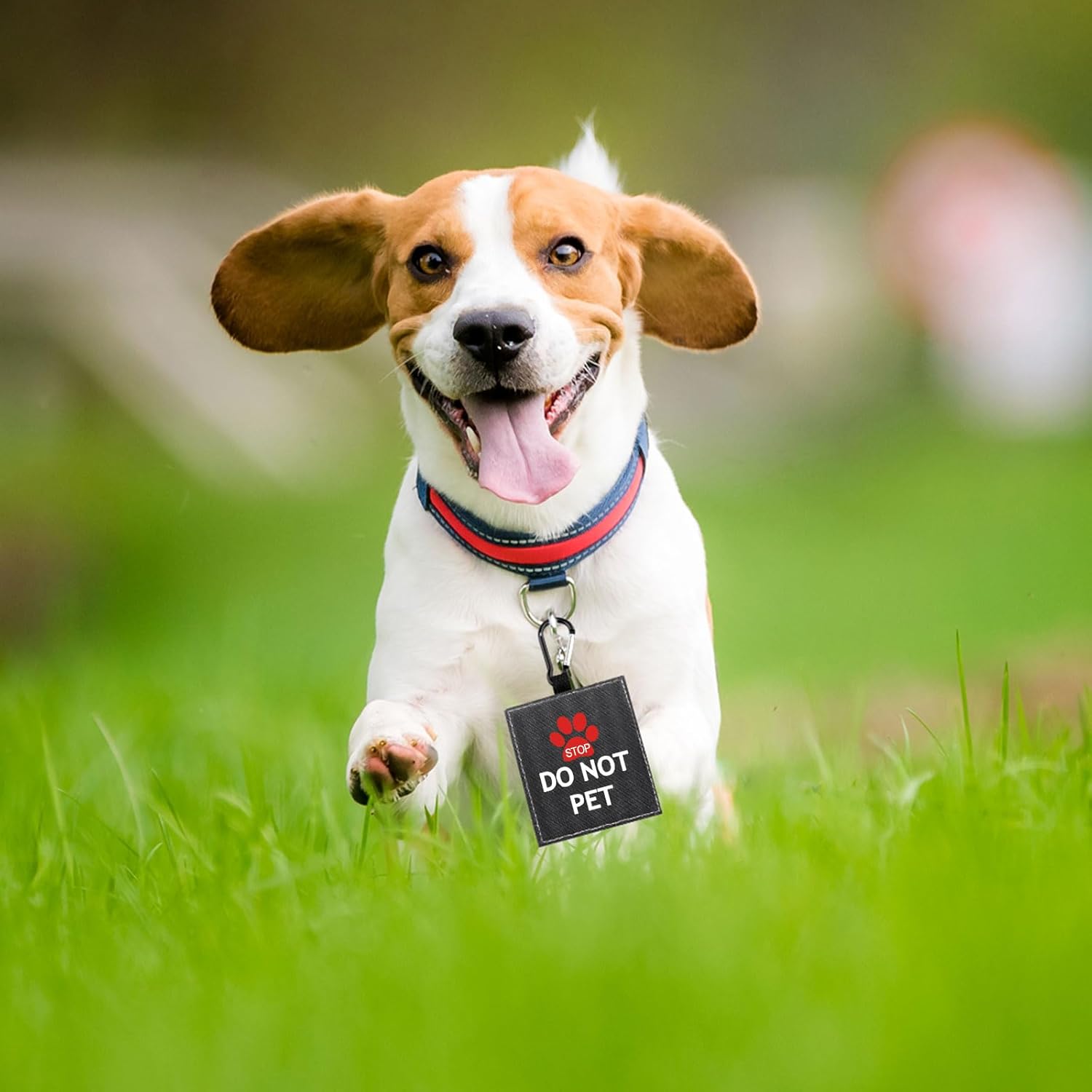 面白い犬用リーシュスリーブ ペットを飼わない犬 リーシュ ラップラップ アラート ハンギング IDパッチタグ ペット 誕生日ギフト