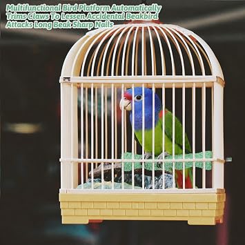 2 PCS Bird Beak Grinding Stone Bird Parrot Cage Perch Stand Anti-Slip Nail Trimming Stick Parrots Perch Resin Beak Grinder Stone Foot Claws Trimmer Accessories for Parrot Budgie Cockatiel (Green)
