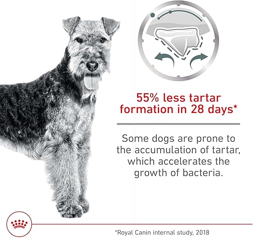 Miniatura 9 de Royal Canin Alimento seco para perros grandes, bolsa de 30 libras