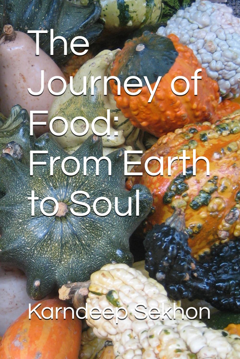 The Journey of Food: From Earth to Soul