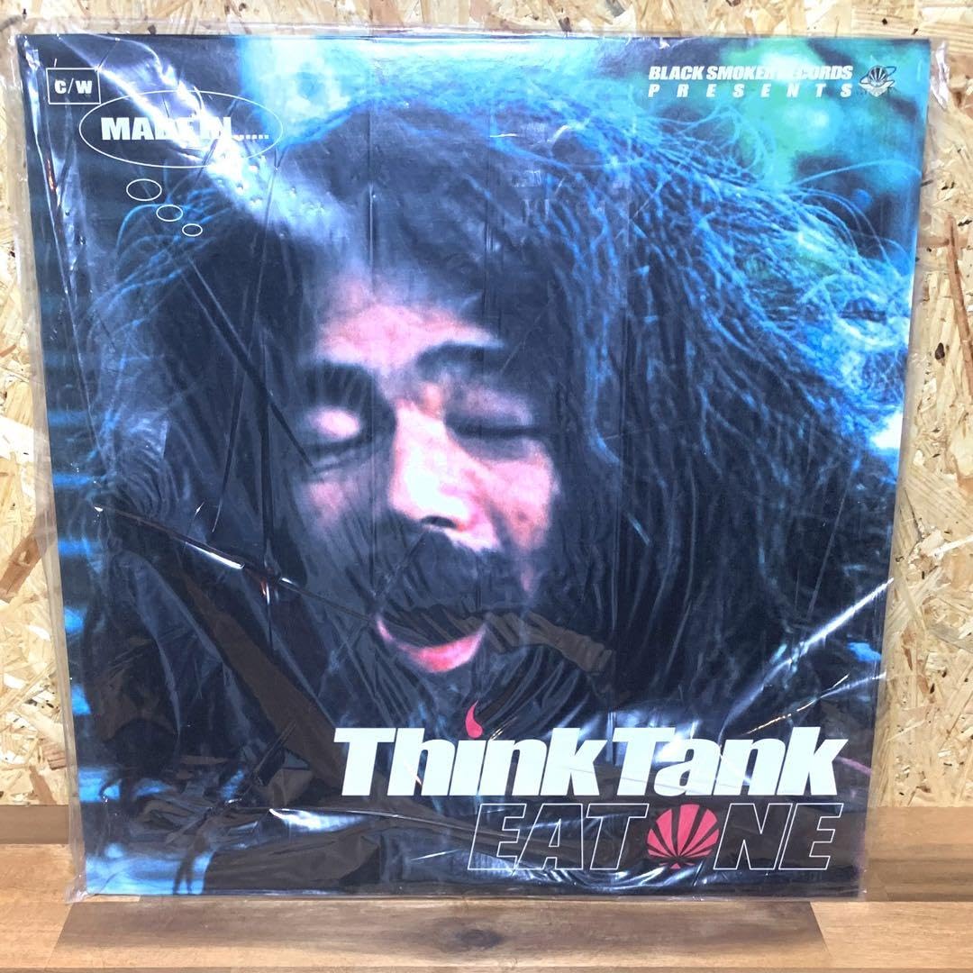 think tank eatone 12inch