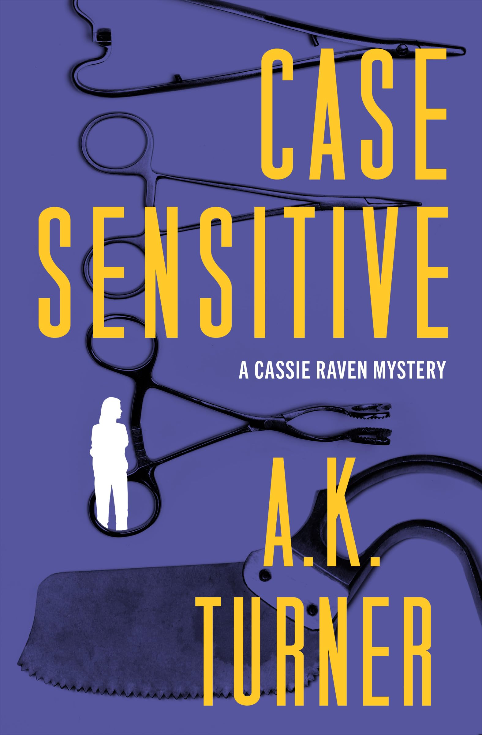 Case Sensitive (The Cassie Raven Mysteries Book 3)
