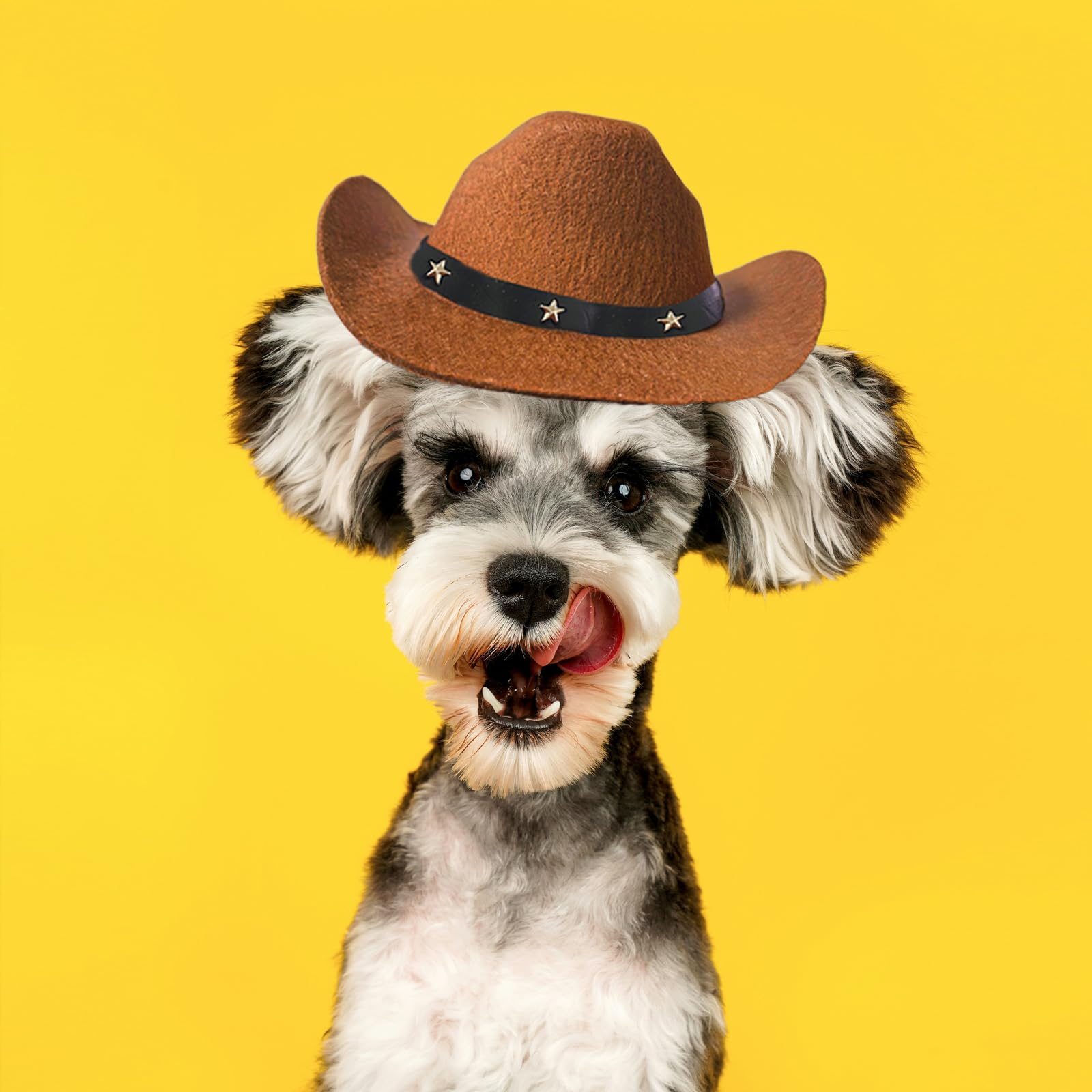 Sombrero Per Cane/Set Cappello Sombrero E Bandana Per Cani/Costume Di Halloween Per Animali Domestici/ - Italia - Foto 10