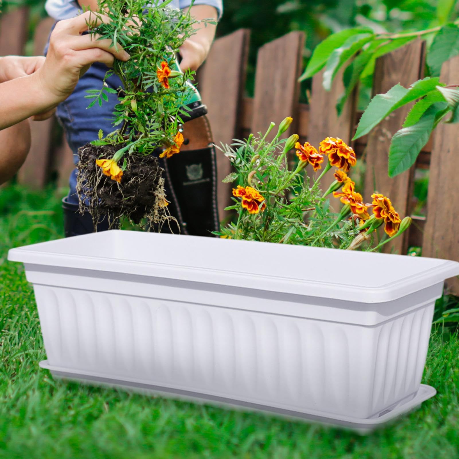 Fioriera Da Finestra Contenitori Porta Piante Con Fori Di Drenaggio | Cassetta Da Finestra Per Fiori Per Giardinaggio Balcone Cucina Esterno Giardino Piante E Fiori