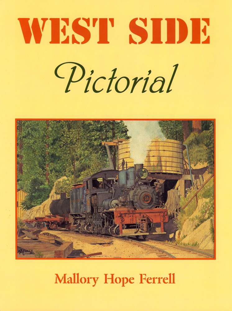 West Side Pictorial sublimez votre salon avec ce beau livre de photographie